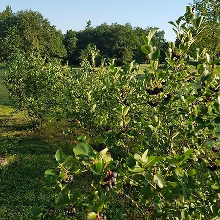 Kamena Kucica Bihać